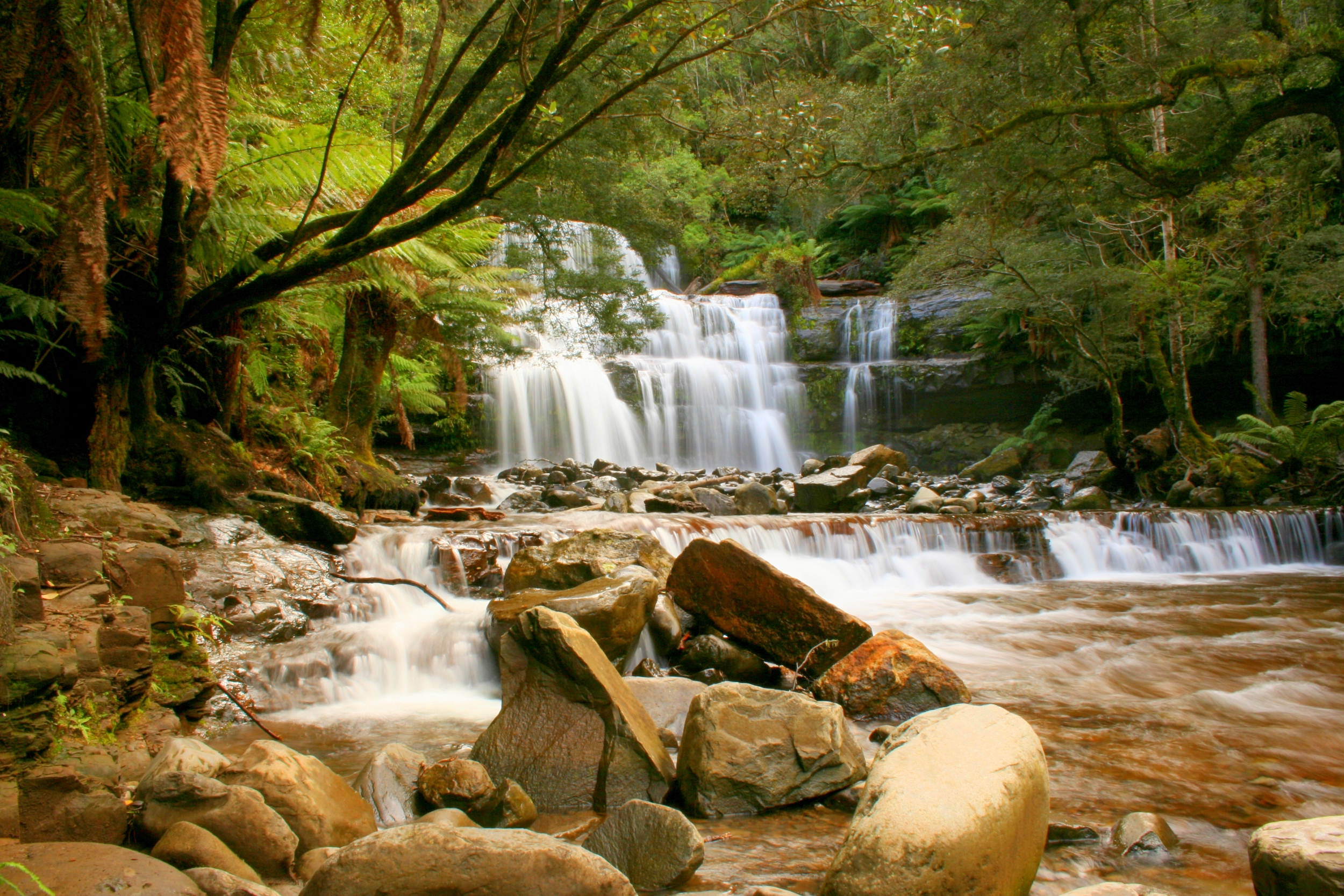For outdoor lovers, Kadie highlights Liffey Falls as a must-visit destination, with its lush hiking trails and cascading waterfalls