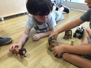 Brookvale-zoo-2.JPG Brookvale-zoo-2.JPG