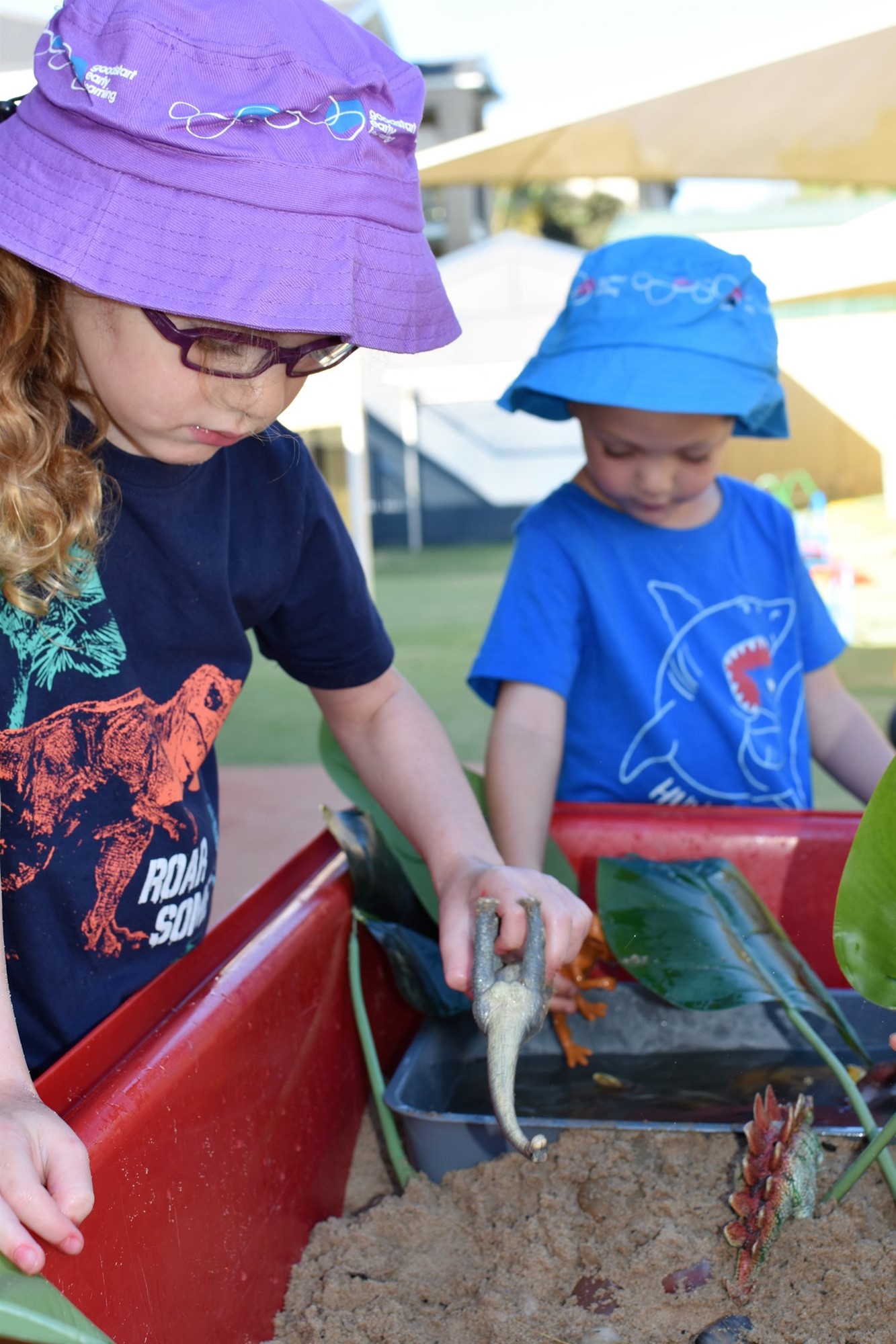 Dapto-06943a23-c628-4f67-87fc-ac74ada882d0.jpg